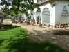 20140511_excursion_pairidaiza_006