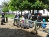 20140511_excursion_pairidaiza_008