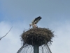 20140511_excursion_pairidaiza_012