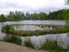 20140511_excursion_pairidaiza_021