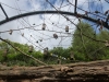 20140511_excursion_pairidaiza_022