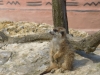 20140511_excursion_pairidaiza_029