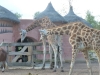 20140511_excursion_pairidaiza_031