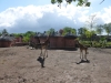 20140511_excursion_pairidaiza_040