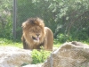 20140511_excursion_pairidaiza_048