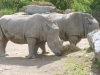 20140511_excursion_pairidaiza_050