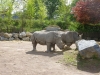 20140511_excursion_pairidaiza_051