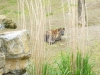 20140511_excursion_pairidaiza_055