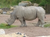 20140511_excursion_pairidaiza_056