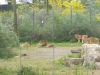 20140511_excursion_pairidaiza_061