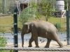 20140511_excursion_pairidaiza_066