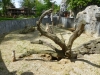 20140511_excursion_pairidaiza_078