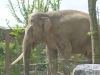 20140511_excursion_pairidaiza_080