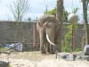 20140511_excursion_pairidaiza_082