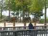 20140511_excursion_pairidaiza_083
