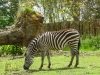 20140511_excursion_pairidaiza_085