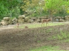 20140511_excursion_pairidaiza_088