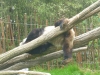 20140511_excursion_pairidaiza_097