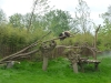 20140511_excursion_pairidaiza_101