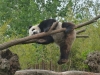 20140511_excursion_pairidaiza_102