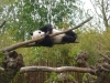 20140511_excursion_pairidaiza_103