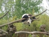 20140511_excursion_pairidaiza_105
