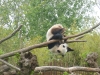 20140511_excursion_pairidaiza_106