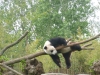 20140511_excursion_pairidaiza_108