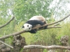 20140511_excursion_pairidaiza_109