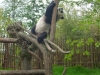 20140511_excursion_pairidaiza_111