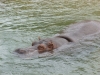 20140511_excursion_pairidaiza_114