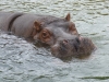 20140511_excursion_pairidaiza_116