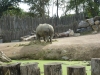 20180909_PairiDaiza-048