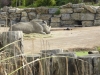 20180909_PairiDaiza-049