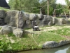 20180909_PairiDaiza-056