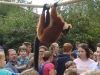 20180909_PairiDaiza-062