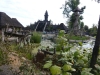 20180909_PairiDaiza-064