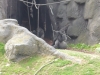 20180909_PairiDaiza-077