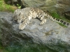 20180909_PairiDaiza-110