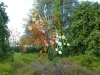 20180909_PairiDaiza-121