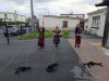 20231101_Halloween_09