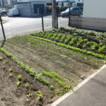 C'est pas beau !!!!!!!